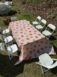 IMG 3365201 1747151188 Toddler Tables
